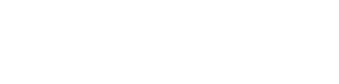 Veneruso, Curto, Schwartz & Curto, LLP